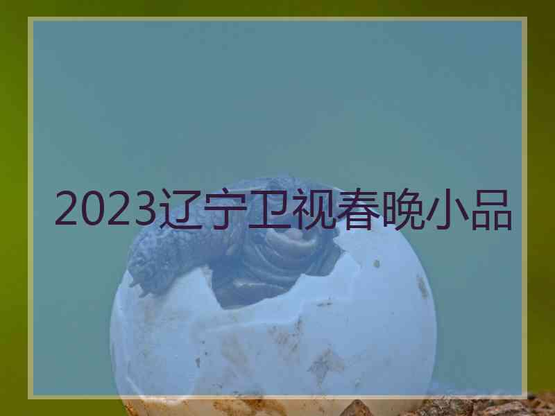 2023辽宁卫视春晚小品