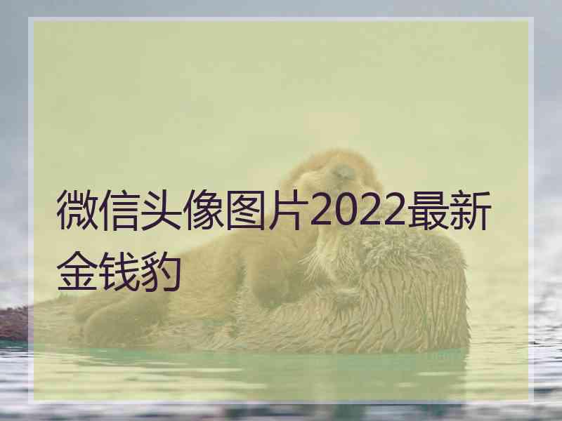 微信头像图片2022最新金钱豹