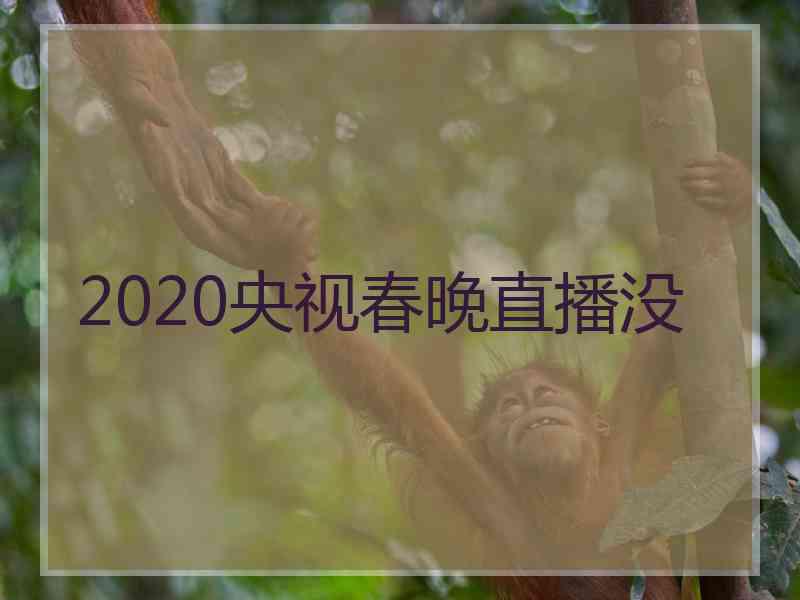 2020央视春晚直播没