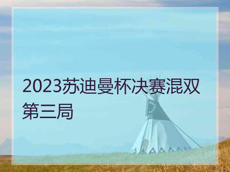 2023苏迪曼杯决赛混双第三局