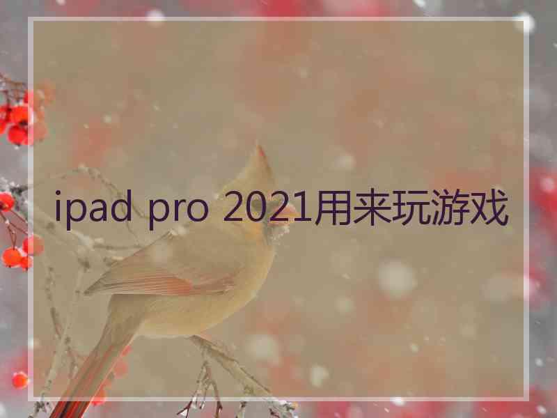 ipad pro 2021用来玩游戏