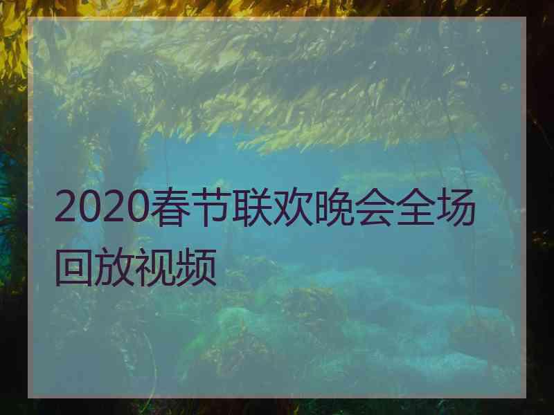 2020春节联欢晚会全场回放视频