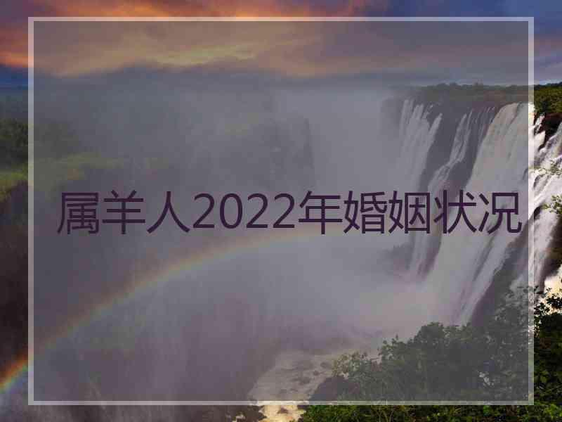 属羊人2022年婚姻状况