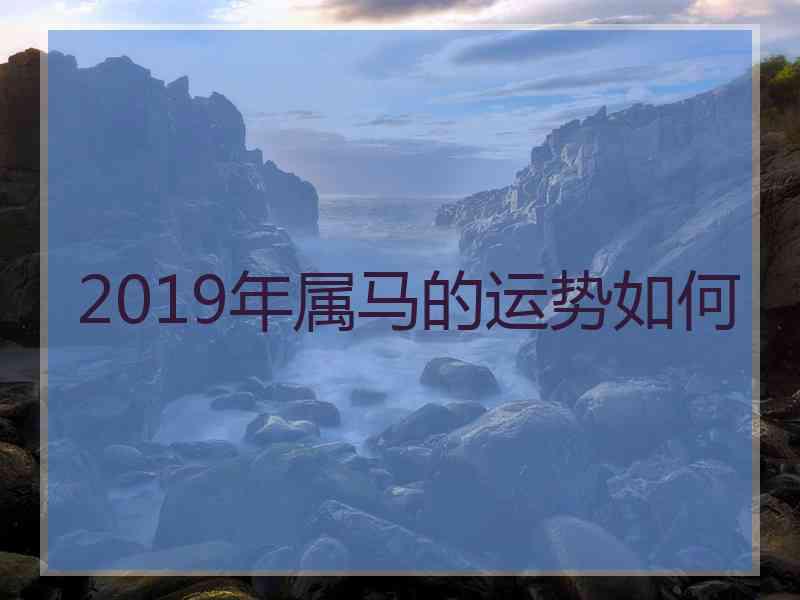 2019年属马的运势如何