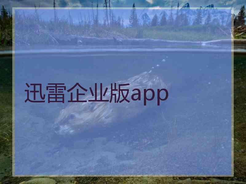 迅雷企业版app