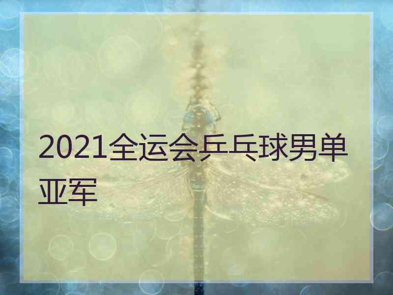 2021全运会乒乓球男单亚军