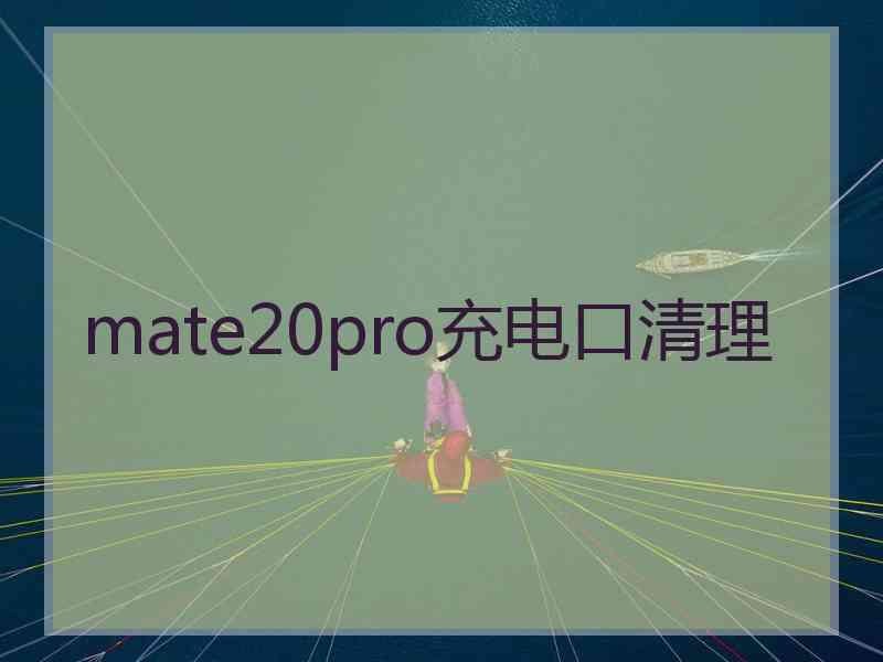 mate20pro充电口清理