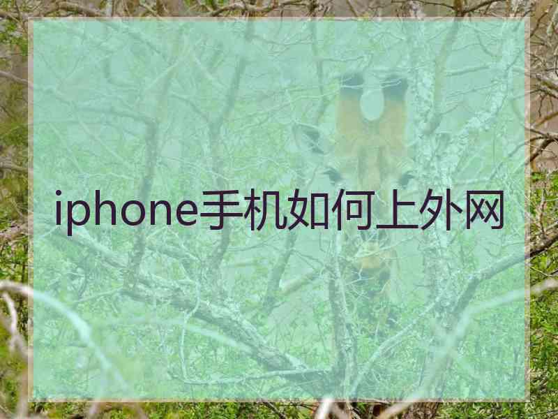 iphone手机如何上外网