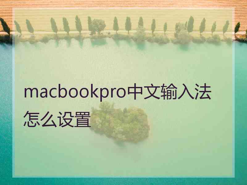 macbookpro中文输入法怎么设置