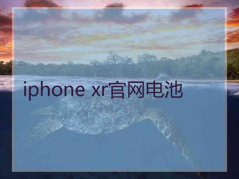 iphone xr官网电池