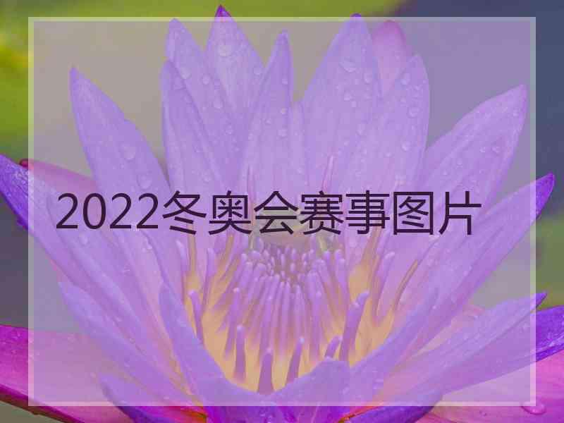 2022冬奥会赛事图片