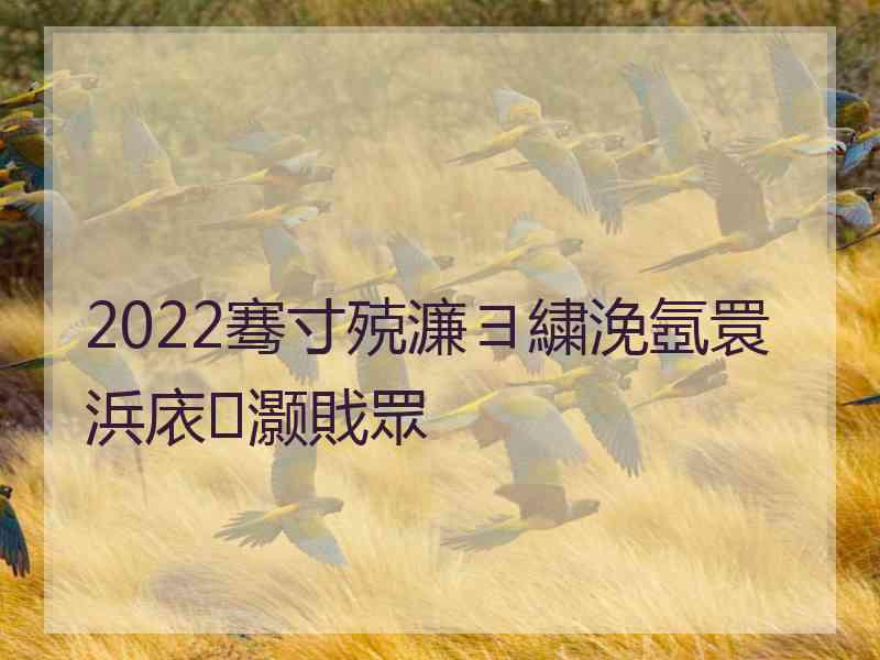 2022骞寸殑濂ヨ繍浼氬睘浜庡灏戝眾