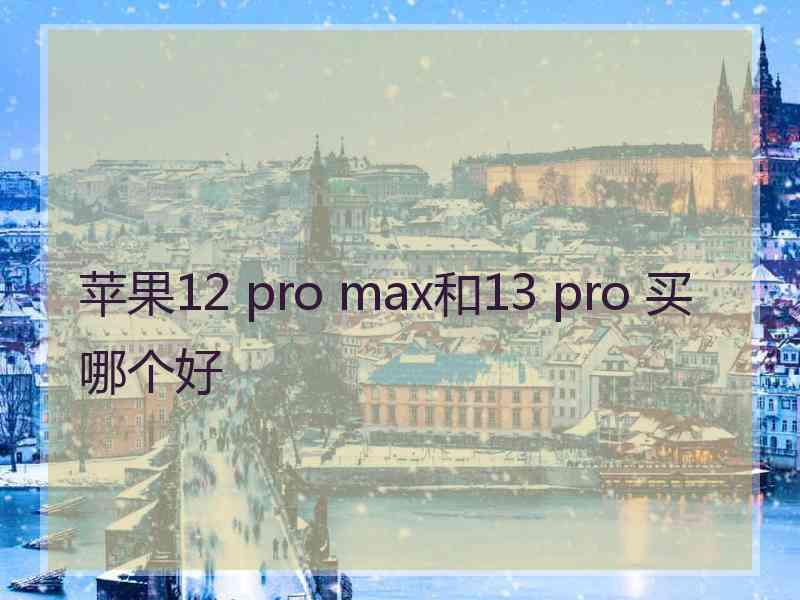 苹果12 pro max和13 pro 买哪个好