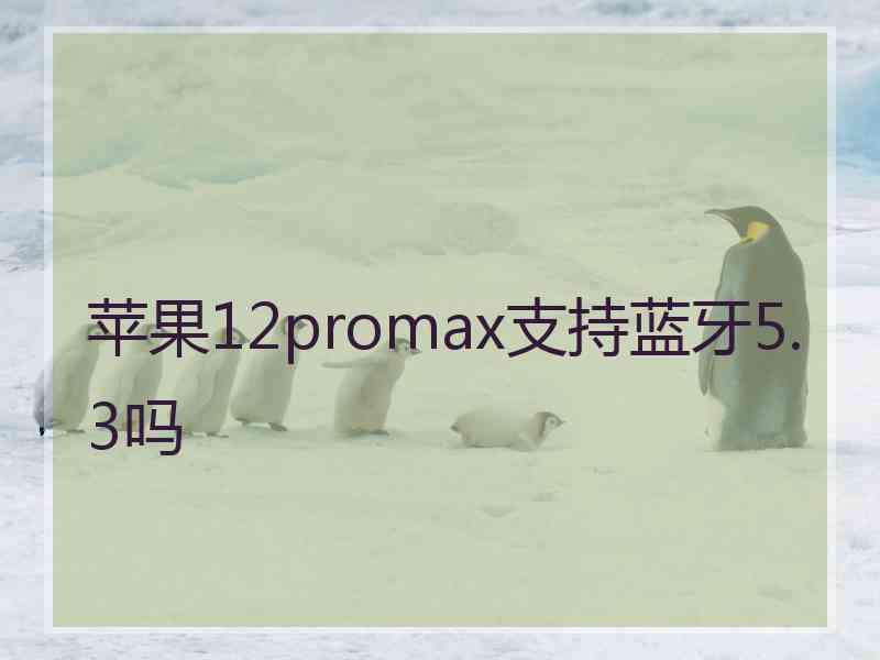 苹果12promax支持蓝牙5.3吗