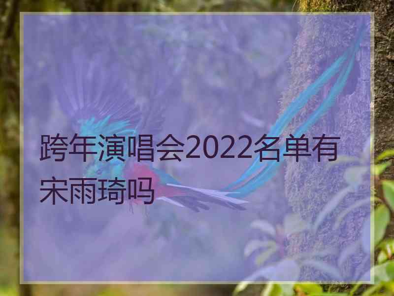 跨年演唱会2022名单有宋雨琦吗