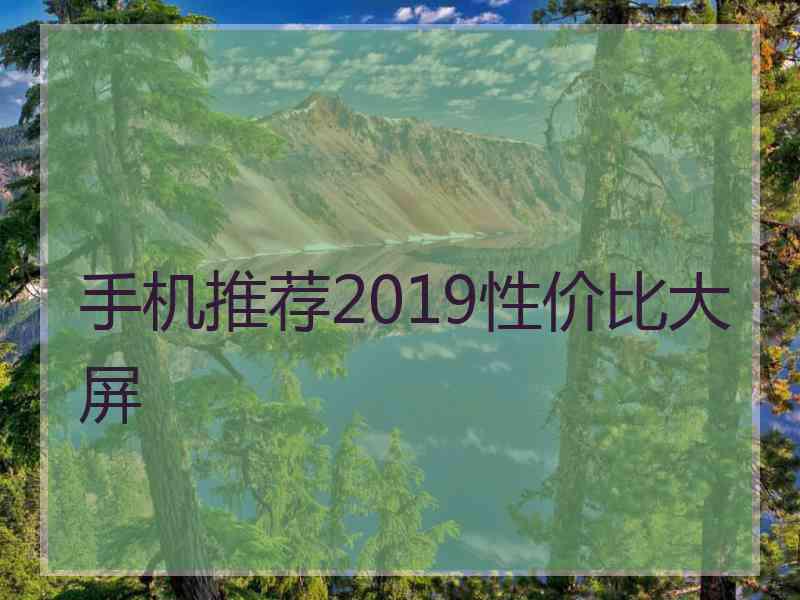 手机推荐2019性价比大屏