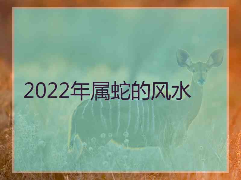 2022年属蛇的风水