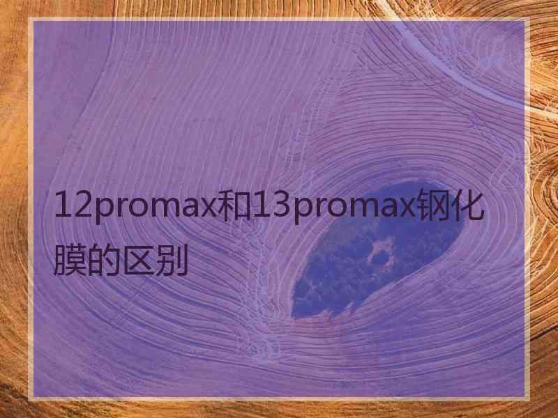 12promax和13promax钢化膜的区别