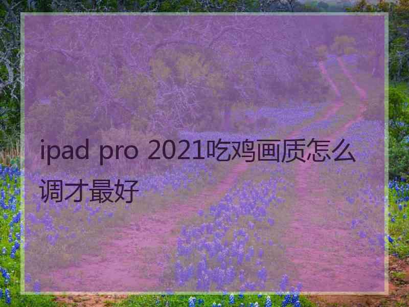 ipad pro 2021吃鸡画质怎么调才最好