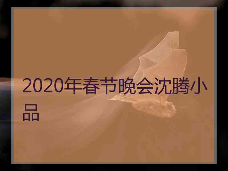 2020年春节晚会沈腾小品