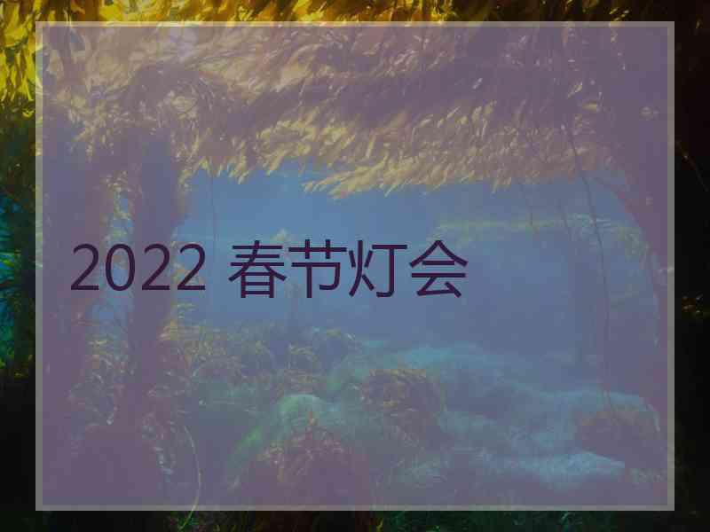 2022 春节灯会