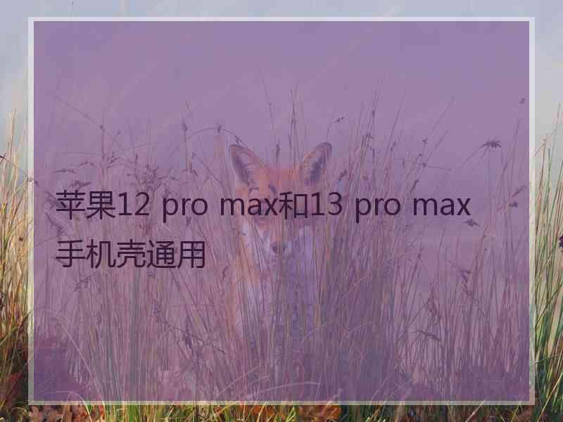 苹果12 pro max和13 pro max手机壳通用