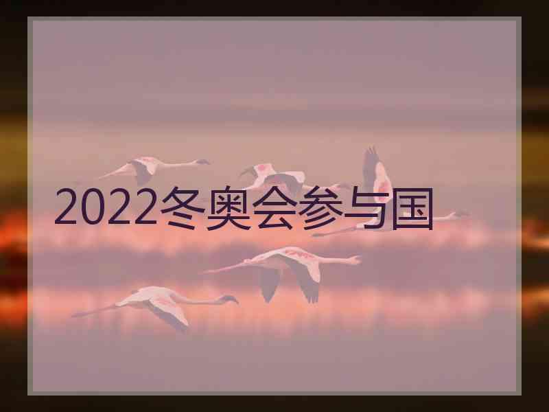 2022冬奥会参与国