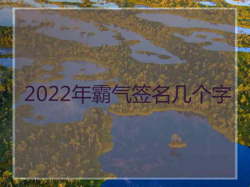 2022年霸气签名几个字