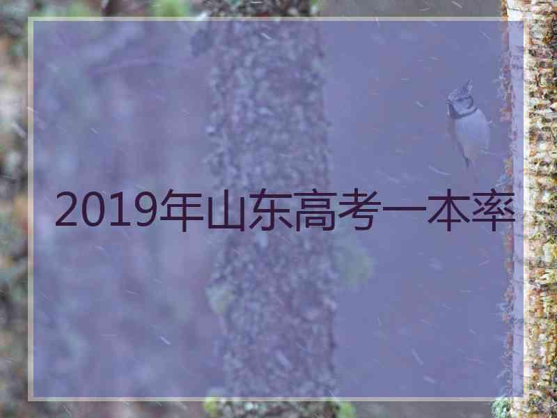 2019年山东高考一本率