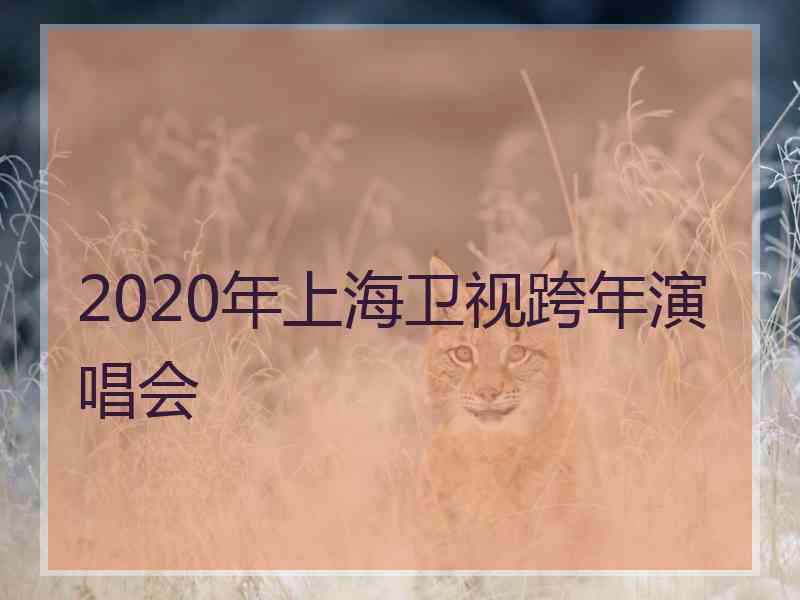 2020年上海卫视跨年演唱会