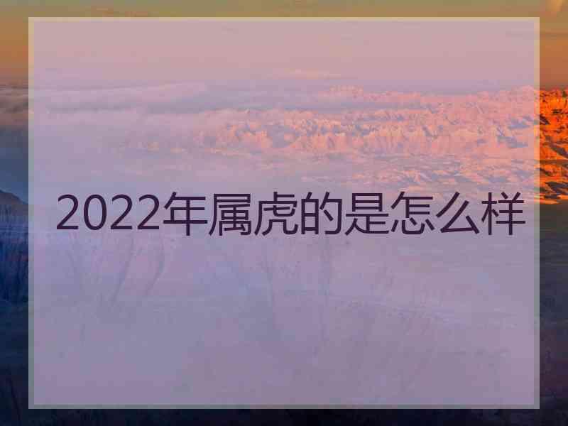 2022年属虎的是怎么样