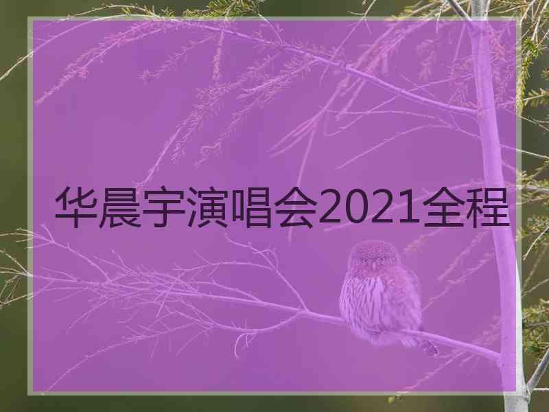 华晨宇演唱会2021全程