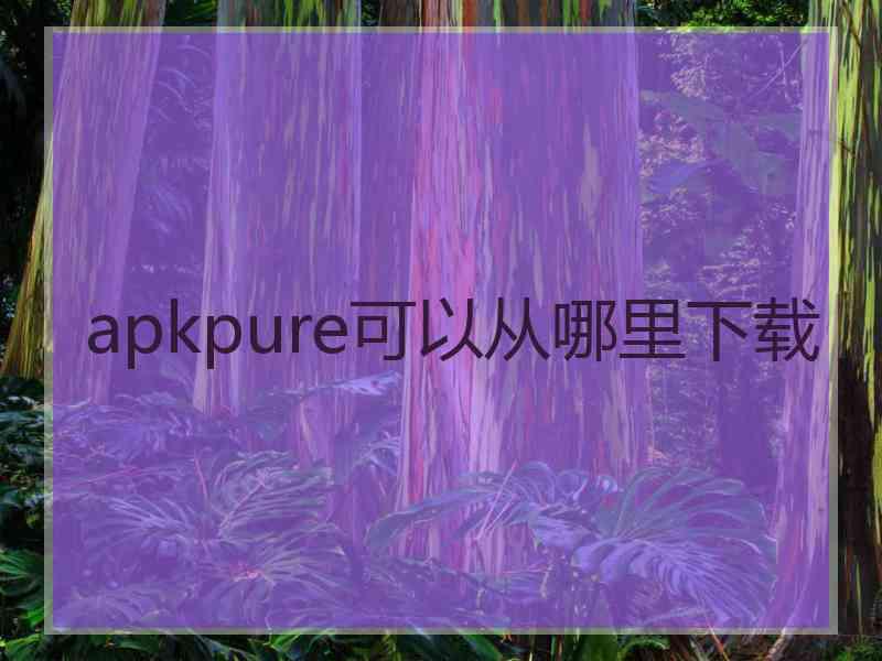 apkpure可以从哪里下载