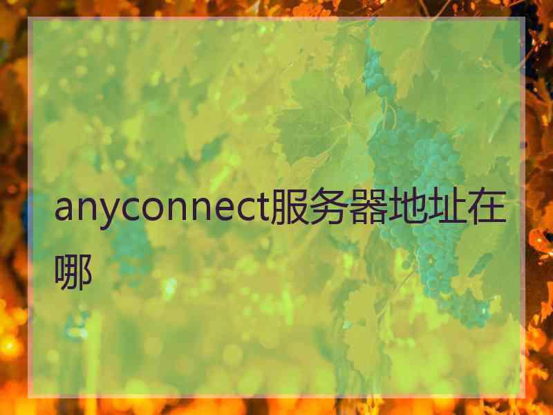 anyconnect服务器地址在哪