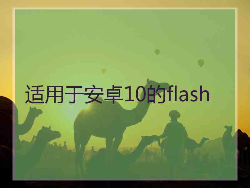 适用于安卓10的flash