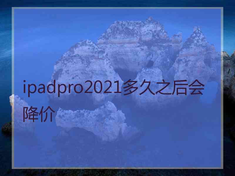 ipadpro2021多久之后会降价