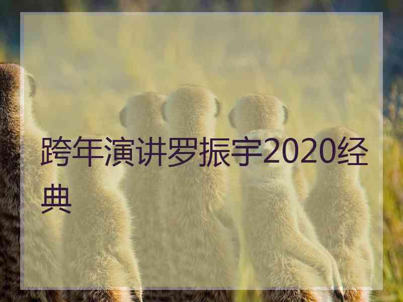 跨年演讲罗振宇2020经典