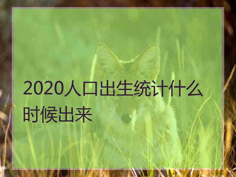 2020人口出生统计什么时候出来