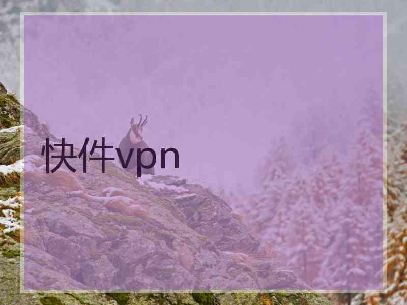 快件vpn