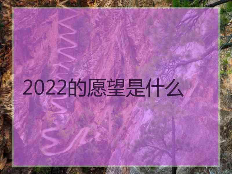 2022的愿望是什么