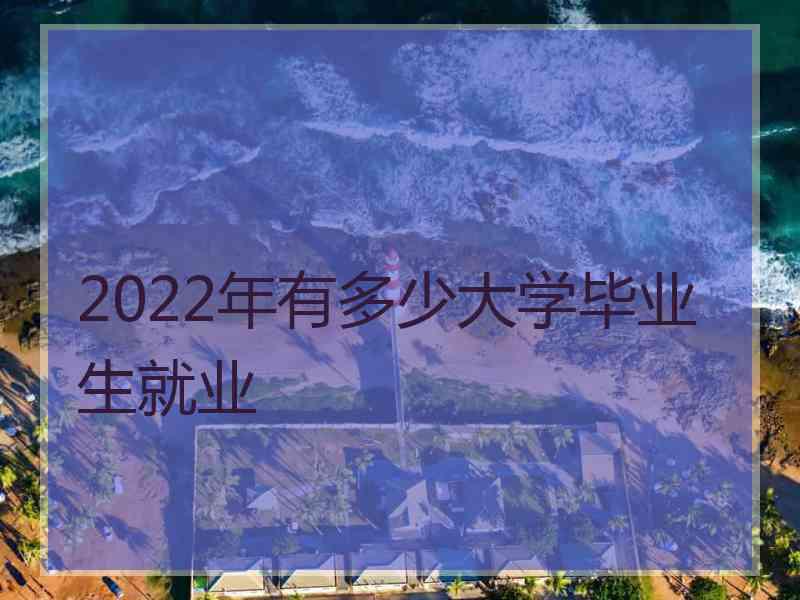 2022年有多少大学毕业生就业