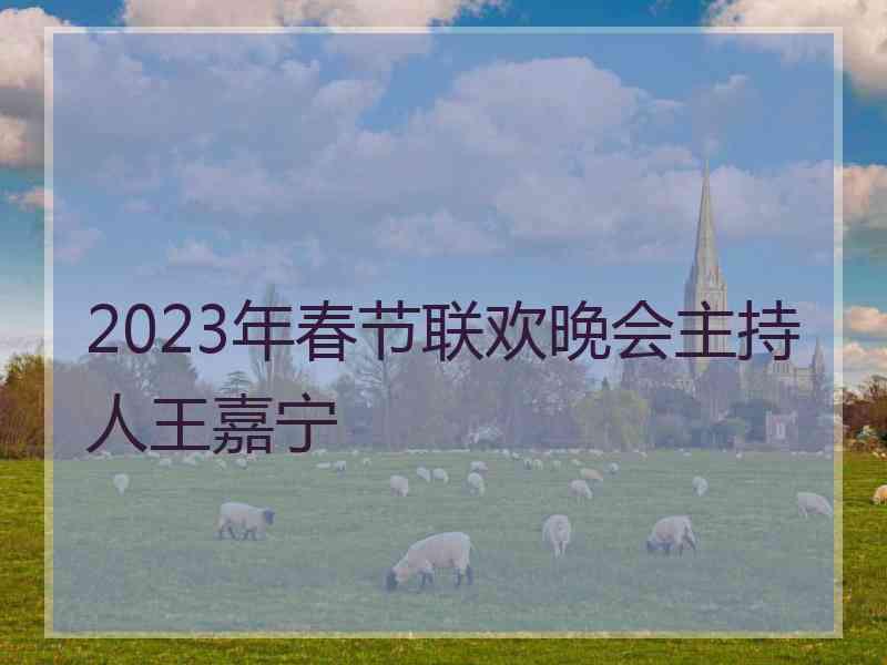 2023年春节联欢晚会主持人王嘉宁