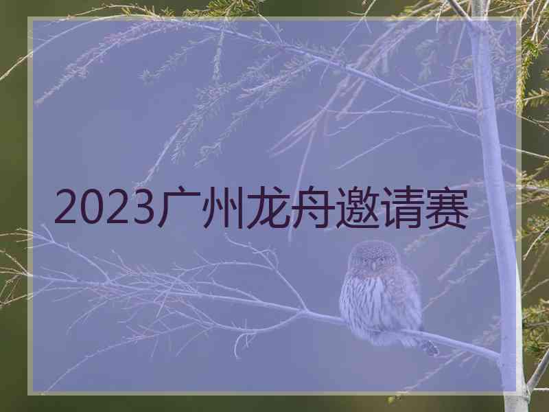 2023广州龙舟邀请赛