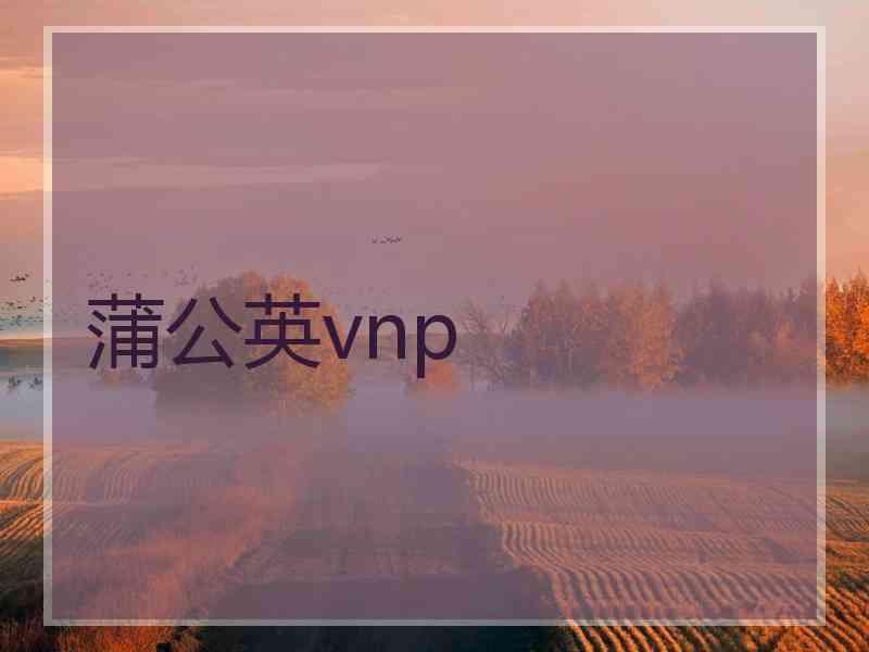 蒲公英vnp