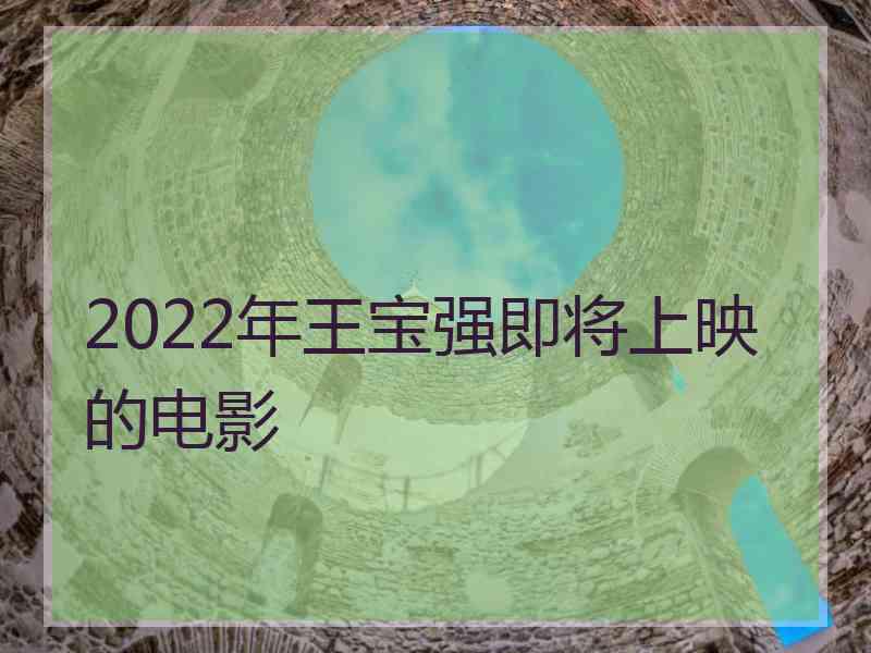 2022年王宝强即将上映的电影