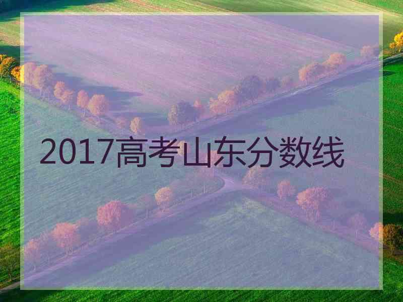 2017高考山东分数线