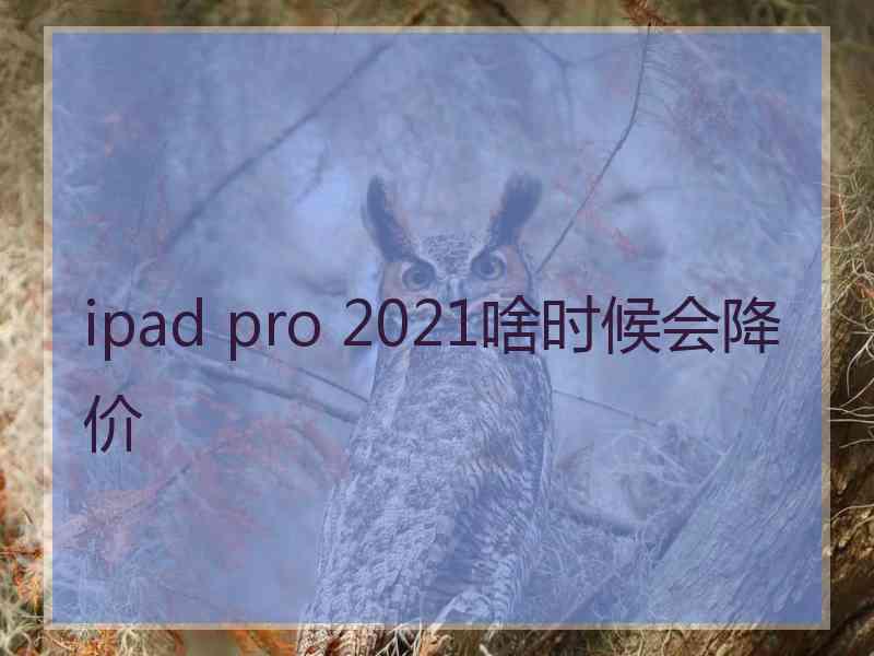 ipad pro 2021啥时候会降价