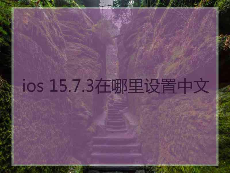 ios 15.7.3在哪里设置中文