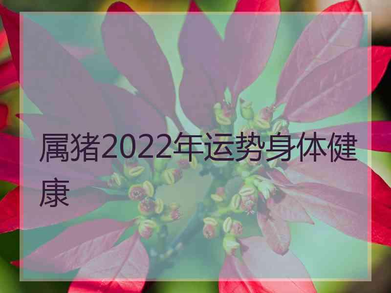 属猪2022年运势身体健康