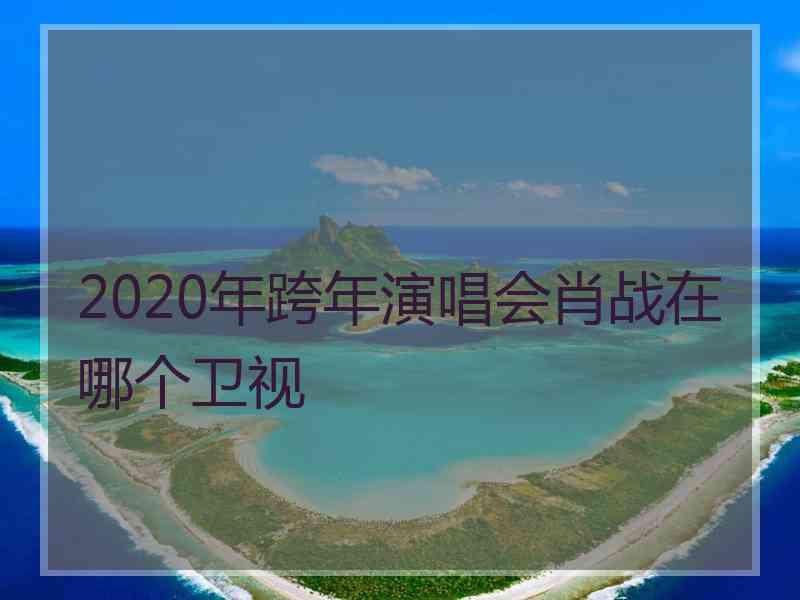 2020年跨年演唱会肖战在哪个卫视